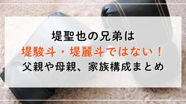 堤聖也の兄弟は堤駿斗・堤麗斗ではない！父親や母親、家族構成まとめ